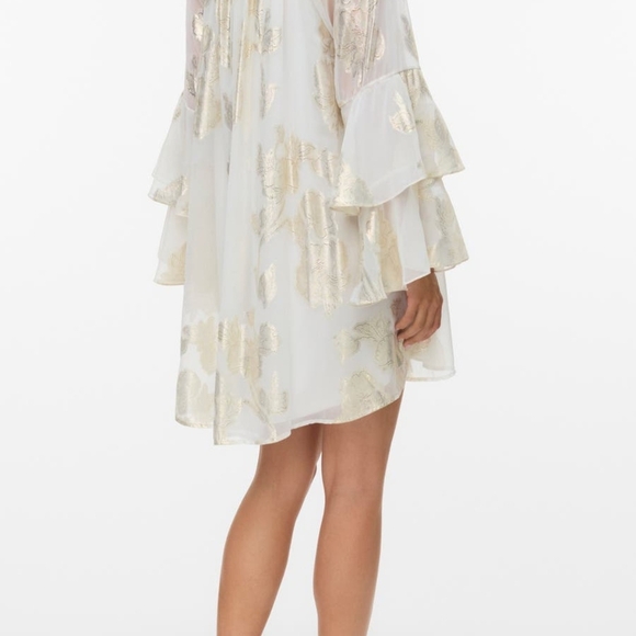 Shimmering Ruffled Mini Dress - Picture 3 of 7